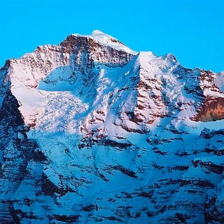 Отель Restaurant Jungfrau Венген